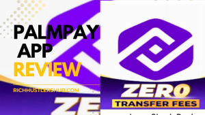 PalmPay App Review