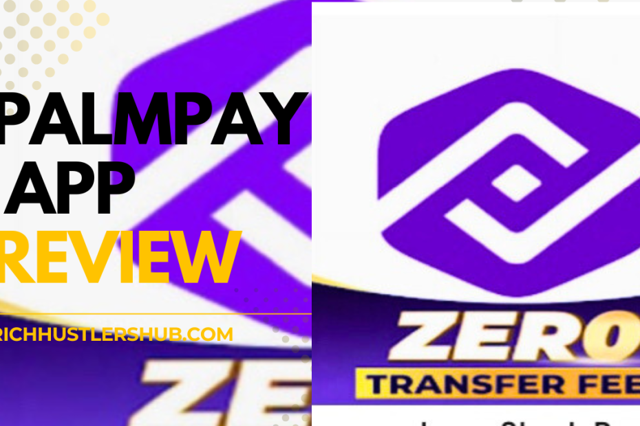PalmPay App Review