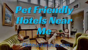 Pet Friendly Hotels Near Me