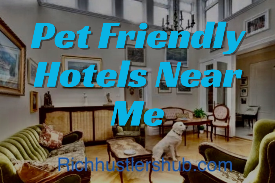 Pet Friendly Hotels Near Me