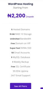 Wordpress hosting 